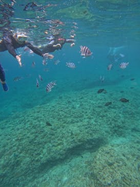 沖縄マリンサービス碧に投稿された画像（2024/4/28）