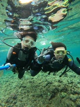 武藤潜水に投稿された画像（2024/4/28）