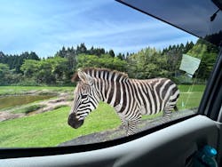 秋吉台自然動物公園 サファリランドに投稿された画像（2024/4/28）