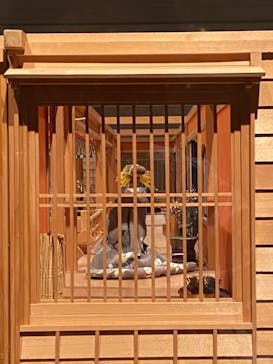 大吉原展に投稿された画像（2024/4/28）