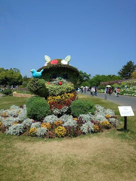 浜名湖花博2024に投稿された画像（2024/4/28）