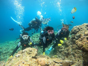 武藤潜水に投稿された画像（2024/4/28）