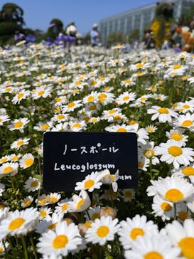 浜名湖花博2024に投稿された画像（2024/4/28）