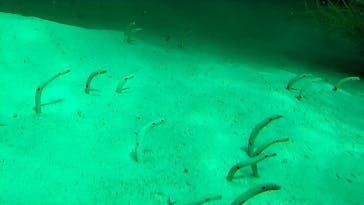 環境水族館アクアマリンふくしまに投稿された画像（2024/4/28）