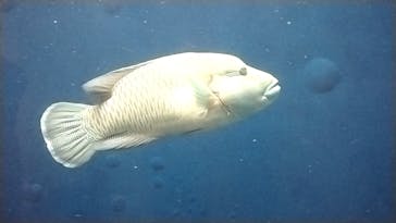 環境水族館アクアマリンふくしまに投稿された画像（2024/4/28）