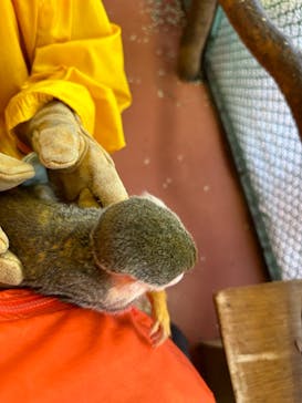 那須ワールドモンキーパークに投稿された画像（2024/4/28）