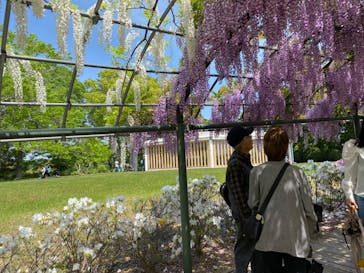 浜名湖花博2024に投稿された画像（2024/4/28）