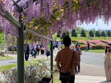 浜名湖花博2024に投稿された画像（2024/4/28）