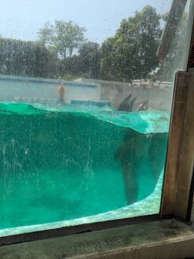 しながわ水族館に投稿された画像（2024/4/28）