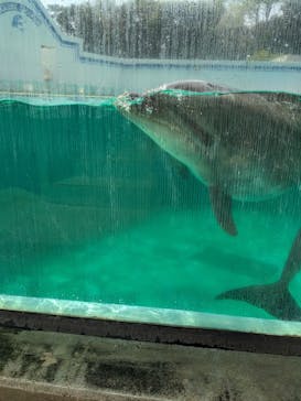 しながわ水族館に投稿された画像（2024/4/28）