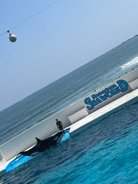 鴨川シーワールドに投稿された画像（2024/4/28）