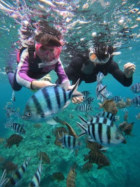 沖縄マリンサービス碧に投稿された画像（2024/4/28）