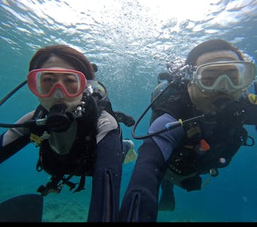 武藤潜水に投稿された画像（2024/4/28）