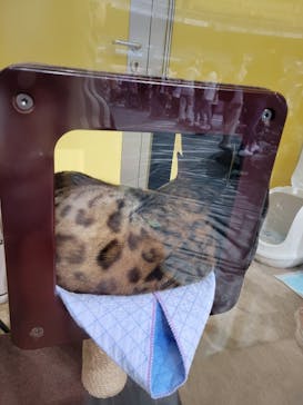 みんな大好き！！ペット王国に投稿された画像（2024/4/28）