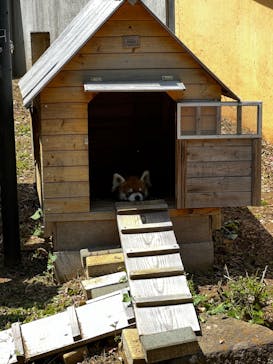 千葉市動物公園に投稿された画像（2024/4/28）