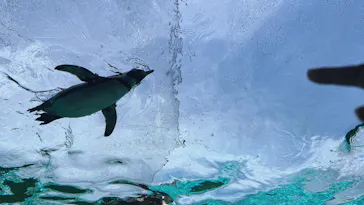 天王寺動物園に投稿された画像（2024/4/28）