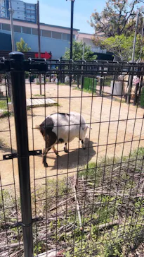 天王寺動物園に投稿された画像（2024/4/28）