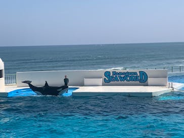 鴨川シーワールドに投稿された画像（2024/4/28）