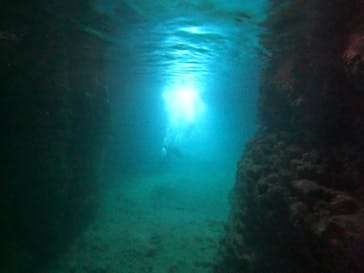 武藤潜水に投稿された画像（2024/4/28）