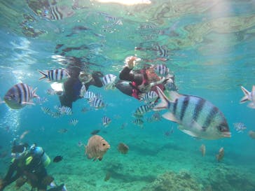 武藤潜水に投稿された画像（2024/4/28）