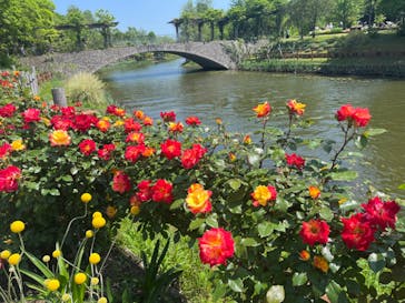浜名湖花博2024に投稿された画像（2024/4/28）