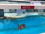 名古屋港水族館に投稿された画像（2024/4/28）