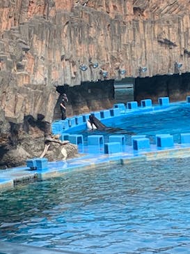 名古屋港水族館に投稿された画像（2024/4/28）