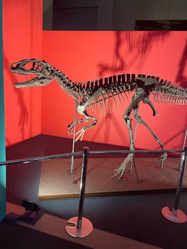 オダイバ恐竜博覧会2024 -福井から“ヤツラ”が新幹線でやってくる！-に投稿された画像（2024/4/28）