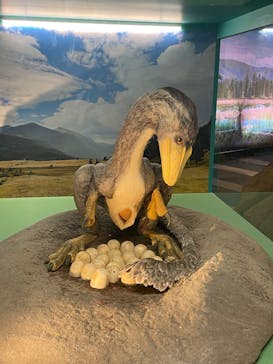 オダイバ恐竜博覧会2024 -福井から“ヤツラ”が新幹線でやってくる！-に投稿された画像（2024/4/28）