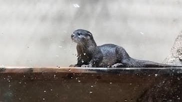 DMMかりゆし水族館に投稿された画像（2024/4/28）