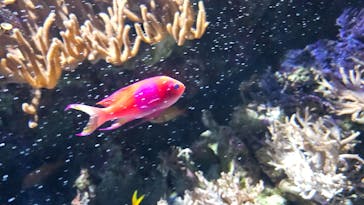 名古屋港水族館に投稿された画像（2024/4/28）