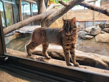 那須どうぶつ王国に投稿された画像（2024/4/28）