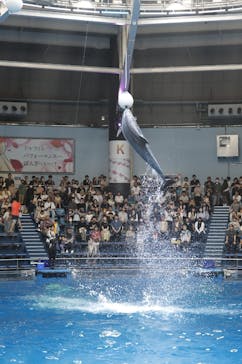 マクセル アクアパーク品川に投稿された画像（2024/4/28）