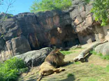 天王寺動物園に投稿された画像（2024/4/28）