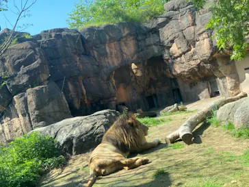 天王寺動物園に投稿された画像（2024/4/28）