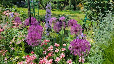 浜名湖花博2024に投稿された画像（2024/4/28）