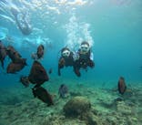 沖縄マリンサービス碧に投稿された画像（2024/4/28）