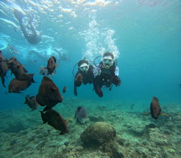 沖縄マリンサービス碧に投稿された画像（2024/4/28）