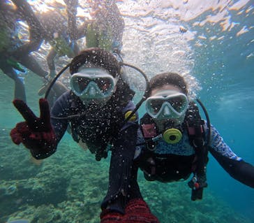 沖縄マリンサービス碧に投稿された画像（2024/4/28）