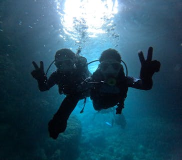 沖縄マリンサービス碧に投稿された画像（2024/4/28）