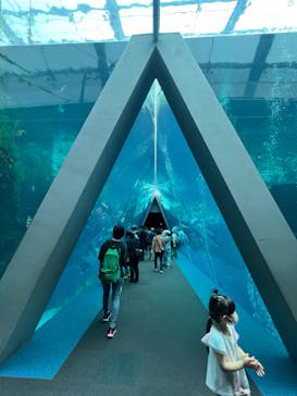環境水族館アクアマリンふくしまに投稿された画像（2024/4/28）