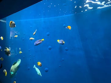 環境水族館アクアマリンふくしまに投稿された画像（2024/4/28）