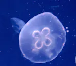 サンシャイン水族館に投稿された画像（2024/4/28）