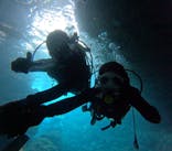 沖縄マリンサービス碧に投稿された画像（2024/4/28）