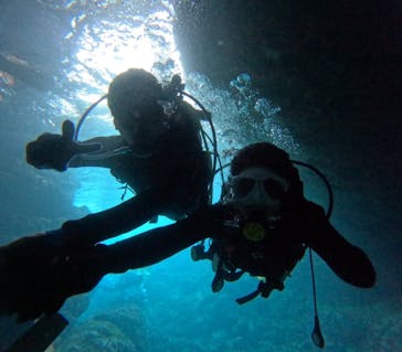 沖縄マリンサービス碧に投稿された画像（2024/4/28）