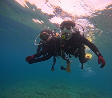 沖縄マリンサービス碧に投稿された画像（2024/4/28）