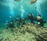 沖縄マリンサービス碧に投稿された画像（2024/4/28）