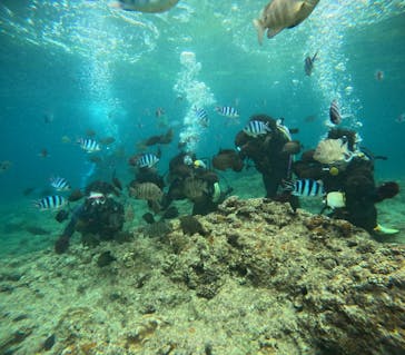 沖縄マリンサービス碧に投稿された画像（2024/4/28）