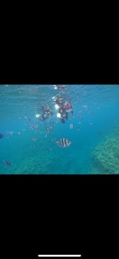 武藤潜水に投稿された画像（2024/4/28）