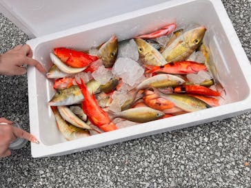 釣り船　博栄丸に投稿された画像（2024/4/28）